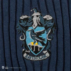 Ravenclaw Quidditch Sweater -Cinereplicas Shop QuidditchSweater Ravenclaw Product 4 4895205608795 scaled