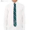 Kids Slytherin Woven Crest Tie 2 Kids Slytherin Woven Crest Tie -Cinereplicas Shop Woven Necktie Kids Slytherin HarryPotter Product 2 4895205603271edit scaled